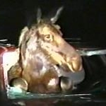 Moose Stuck In Car