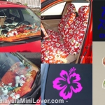 Hawaiian car accessories