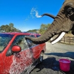 Starting a car wash business